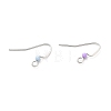 316 Surgical Stainless Steel Earring Hooks X-STAS-E044-02P-2