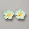 Two Tone Resin Cabochons LS-RESI-WH20010-01B-1