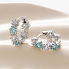 Star Brass Cubic Zirconia Hoop Earrings FS-WG82235-02-1
