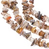 Natural Botswana Agate Beads Strands G-I283-A05-01-3