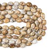 Natural Crazy Agate Beads Strands G-G453-D03-01-5