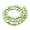 Freshwater Shell Beads Strands X-SHEL-T009-B16-04-2