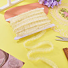 10M Double Layer Polyester Lace Ribbon OCOR-TA0004-14H-5