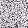 Glass Seed Beads SEED-T007-10D-6