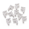 304 Stainless Steel Charms STAS-F175-02P-F-2