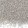 100G 12/0 Glass Seed Beads SEED-SP0001-12A-02-1