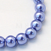 Baking Painted Pearlized Glass Pearl Round Bead Strands HY-Q003-6mm-09-2