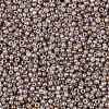 TOHO Round Seed Beads SEED-XTR11-1700-2
