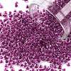 12/0 Glass Seed Beads SEED-A014-2mm-140-1