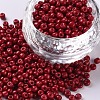 Baking Paint Glass Seed Beads SEED-S002-K14-1