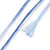 10 Skeins 6-Ply Polyester Embroidery Floss OCOR-K006-A49-3