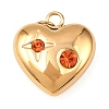 304 Stainless Steel Pendants STAS-H244-06G-03-1