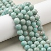 Natural Amazonite Beads Strands G-L618-A01-10mm-1