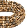 Natural Picture Jasper Beads Strands G-L654-I07-01-5