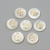 Freshwater Shell Pendants X-SHEL-Q010-011G-1