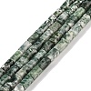 Natural Green Spot Jasper Beads Strands G-C128-A17-01-1