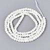 Natural Trochid Shell/Trochus Shell Beads Strands BSHE-T014-52A-01-2