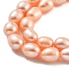 Natural Cultured Freshwater Pearl Beads Strands PEAR-P062-17A-4
