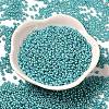 Baking Paint Glass Seed Beads SEED-P006-03A-31-2