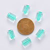 Transparent Acrylic Beads TACR-S154-17A-68-3
