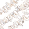 Electroplated Shell Pearl Beads BSHE-D301-01-1