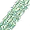 Electroplated Opaque Glass Beads Strands EGLA-L015-FR-B-01-3