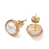 Natural Cultured Freshwater Pearl Stud Earrings EJEW-JE07379-4
