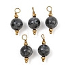 Natural Larvikite Pendants GG-CBA5E56-07G-04-1