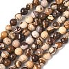 Natural Australian Agate Round Bead Strands G-M272-02-8mm-5