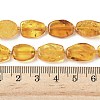 Natural Amber Beads Strands G-L095-C01-05-5