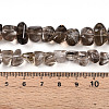 Natural Smoky Quartz Beads Strands G-B072-C01-01-01-4