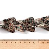 Spray Printed Synthetic Turquoise Beads Strands TURQ-P002-04A-02-5