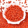 Opaque Baking Paint Glass Seed Beads SEED-T008-02J-2