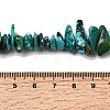 Natural HuBei Turquoise Bead Strands G-H345-A01-12-5