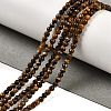 Natural Tiger Eye Beads Strands G-Z068-B01-01-2