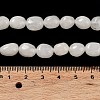 Natural White Jade Beads Strands G-E614-B01-08-4
