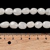 Natural White Jade Beads Strands G-E614-B01-08-4