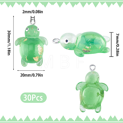 SUNNYCLUE 30Pcs Transparent Resin Pendants RESI-SC0002-72-1