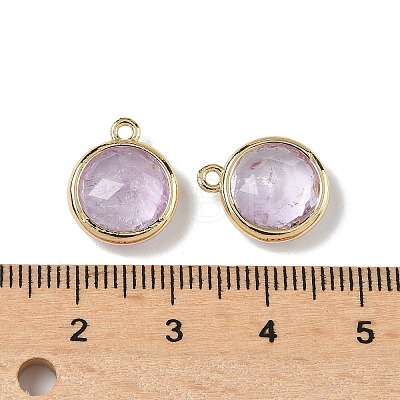Natural Amethyst Faceted Flat Round Charms G-U028-03G-09-1