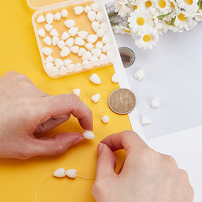 60Pcs 2 Styles Opaque Resin Beads RESI-WR0001-21-1