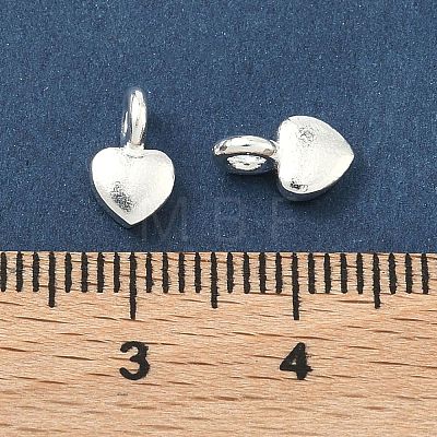 925 Sterling Silver Charms STER-H119-05C-S-1