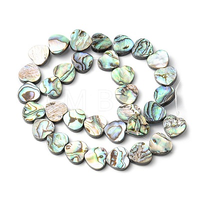 Natural Paua Shell Beads Strands SHEL-F006-04-1