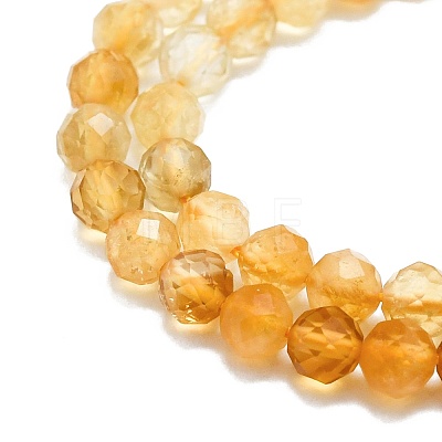 Natural Citrine Beads Strands G-P457-A03-22-1