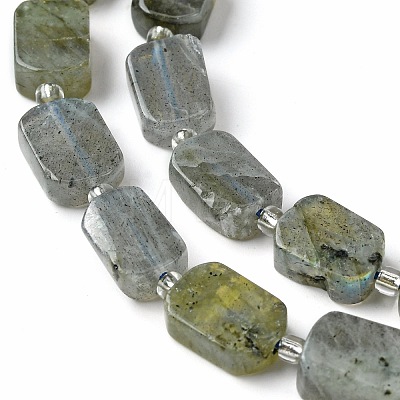 Natural Labradorite Beads Strands G-C098-A05-01-1