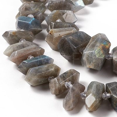 Natural Labradorite Beads Strands G-F719-23-1