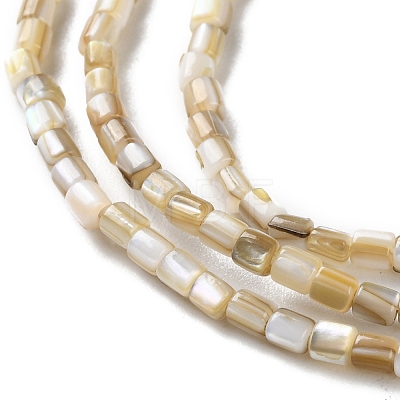 Natural Freshwater Shell Beads Strands SSHEL-B002-17-1