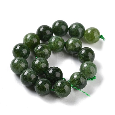 Dyed Natural Malaysia Jade Beads Strands G-G021-02C-13-1