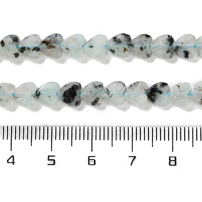 Natural Sesame Jasper Beads Strands G-M403-A40-02-1