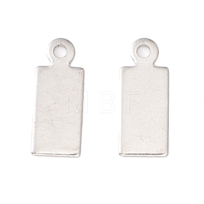 304 Stainless Steel Charms STAS-P307-15C-P-1