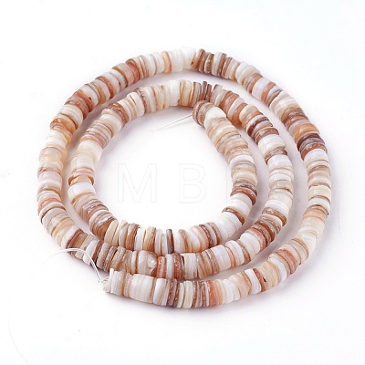 Shell Beads Strands SSHEL-E571-49D-1